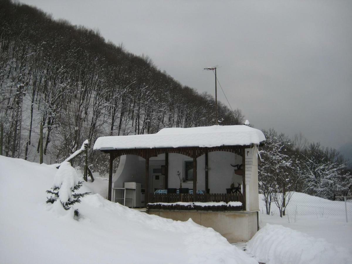 Bungalows Zdravets Berkovitsa Exterior photo