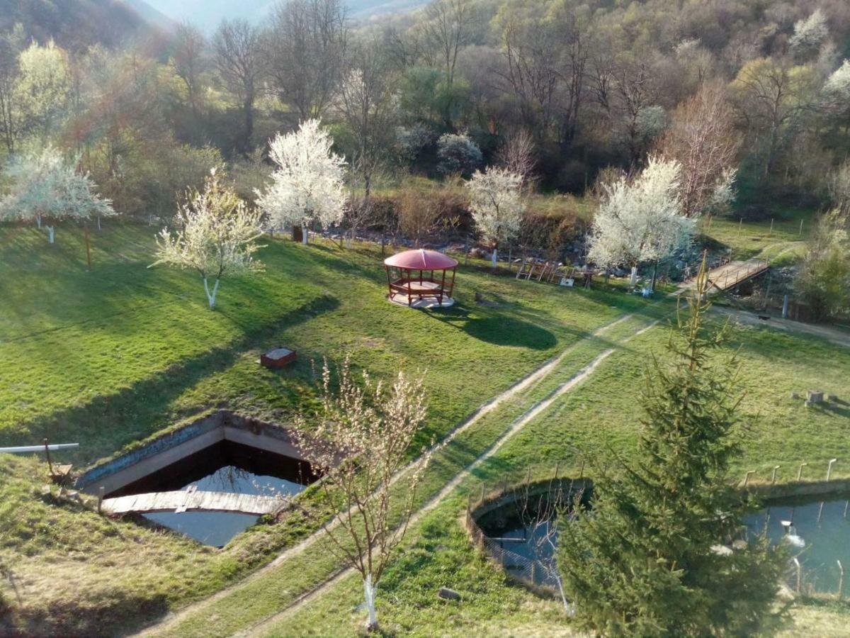 Bungalows Zdravets Berkovitsa Exterior photo