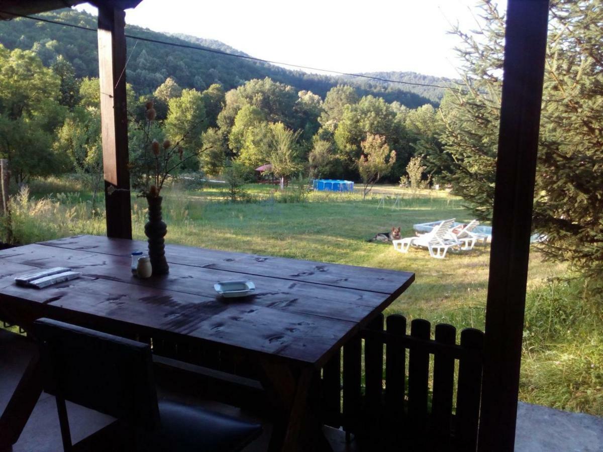 Bungalows Zdravets Berkovitsa Exterior photo