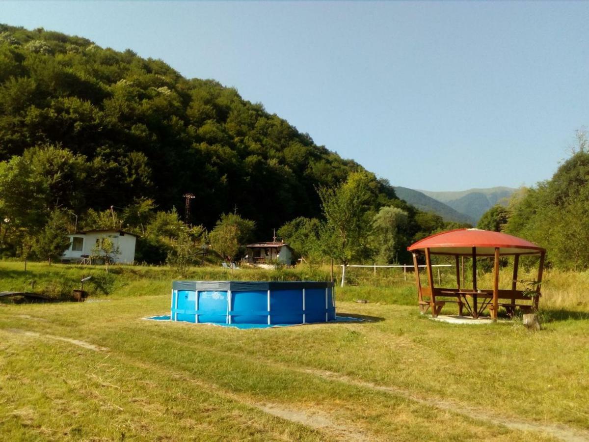 Bungalows Zdravets Berkovitsa Exterior photo