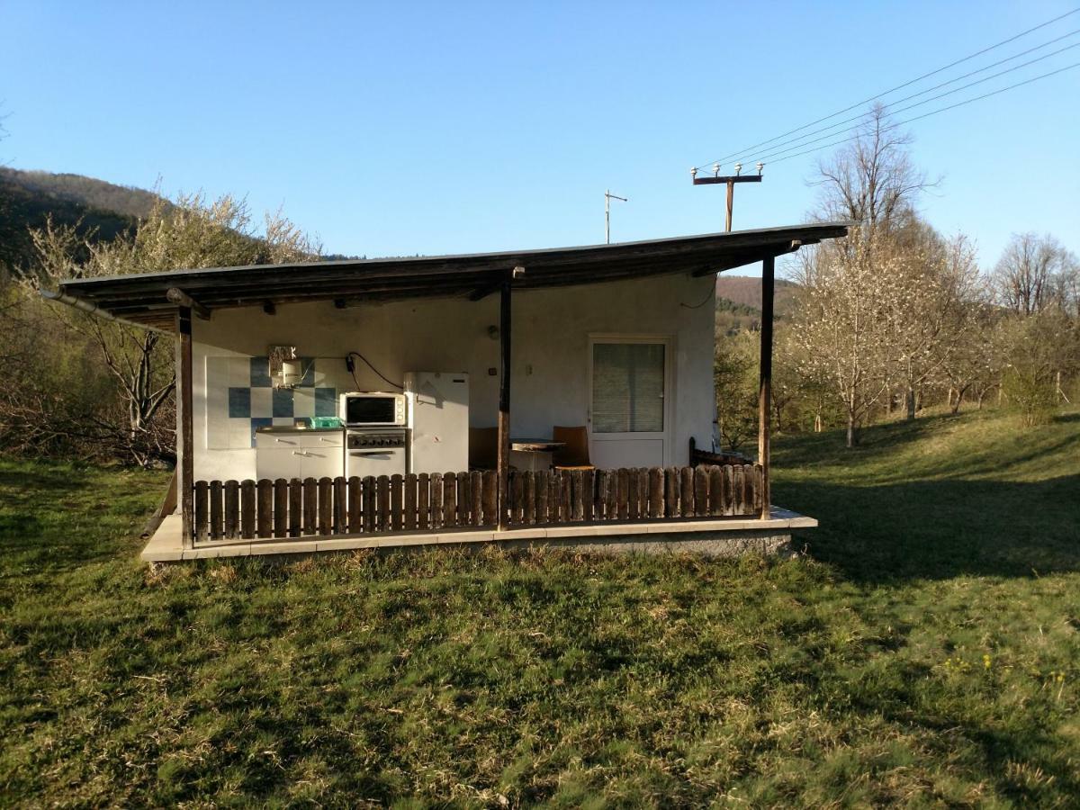 Bungalows Zdravets Berkovitsa Exterior photo